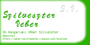 szilveszter veber business card